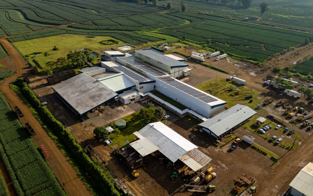 octubre 24, 2025GoSolar proyecta 20 millones de dólares en sistemas con baterías hasta 2026