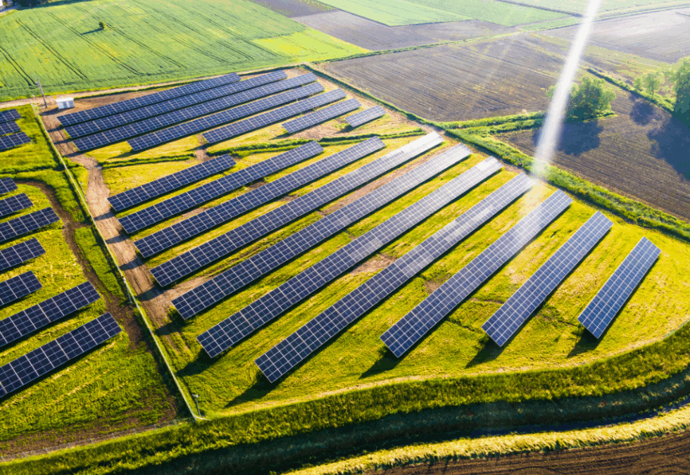 agosto 6, 2025El MITECO destina 148 millones a 199 proyectos pioneros con almacenamiento agrovoltaico, energías renovables en infraestructuras y bombas de calor