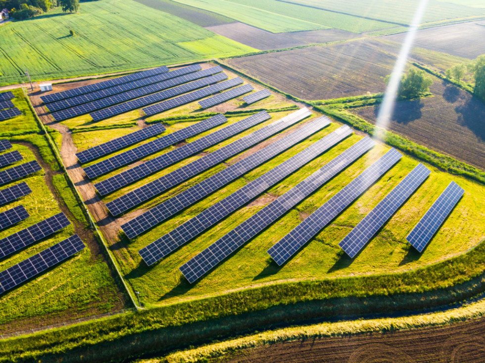 Fotvoltaica-2-980×735 El MITECO destina 148 millones a 199 proyectos pioneros con almacenamiento agrovoltaico, energías renovables en infraestructuras y bombas de calor
